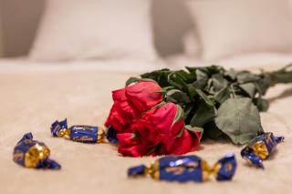 Nordic Nova by R&K Apartments - 8