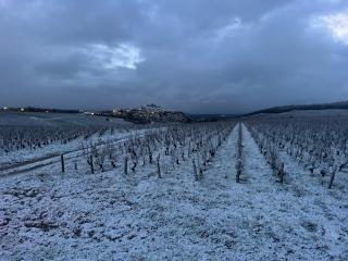 Maison Palomase en plein cœur de Sancerre - Sancerre - 9