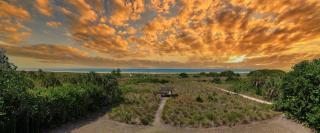 Siesta Sunset - 524 (PH) - 5