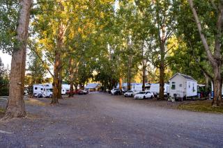 Columbia Point Resort - 6