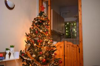 Limping John's Apartment - 6