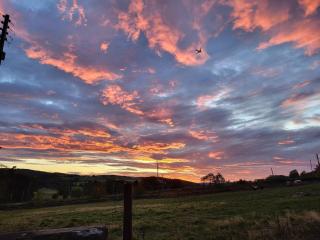 Gardeners Cottage - 6