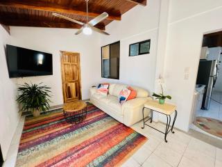 El Papagayo Verde 5 min walk to the beach and downtown - Coco - 0