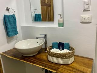 El Papagayo Verde 5 min walk to the beach and downtown - Coco - 5