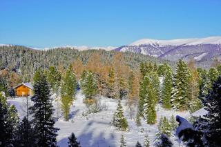 Relax Chalet Turracher Höhe - 3