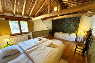 Cinco Lunas VEGETARIAN Guesthouse - 6