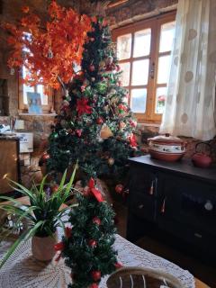 Kirki Old Winery Guest House - 0