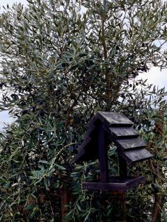 Casa na Serra da Estrela - Solar do Prazo - 3