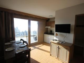 Appartement 3 pièces avec balcon Sud, animaux admis - FR-1-549-164 - 2