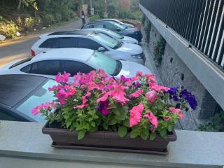 Loft Próximo ao Teleférico - 7