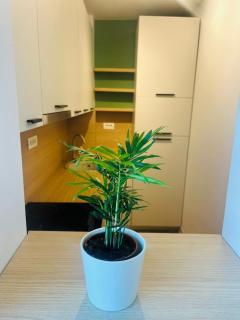 Studio Lumiere Timișoara - 1