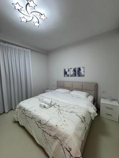 Golden Tower City Center Tirana Apartment - 9