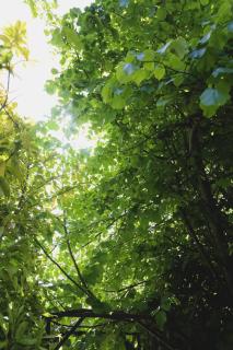 Gran casa con pileta climatizada y vista al lago - 6
