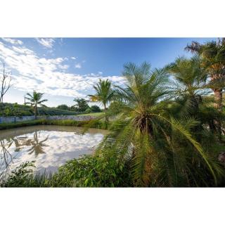 My Paradise Chiang Rai - 5