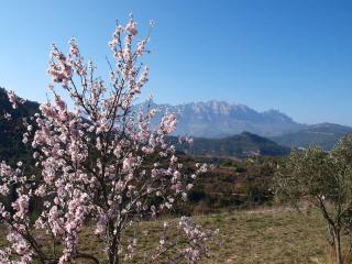 Music room in Montserrat - 1