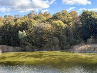 6 person holiday home in Borup - 4