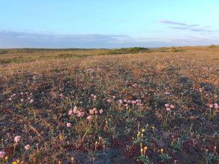 Cozy Beach House with Spa - By Traum Ferienwohnungen - 4