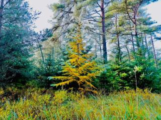 7 person holiday home in Fjerritslev-By Traum - 2