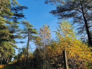 7 person holiday home in Fjerritslev-By Traum - 5