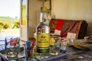 Gîtes les fleurs du bananier - 4