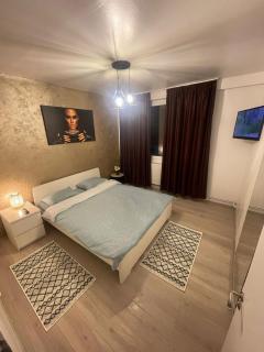 LCB Apartments P Victoriei - 1