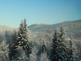 Trysil 豪华全新小木屋住宿 - 9