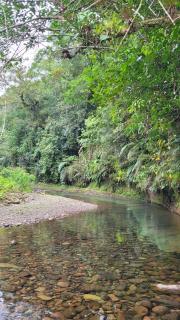 Cabana Bromélia - 9