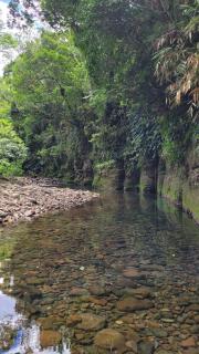 Cabana Bromélia - 8