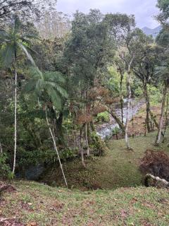 Cabana Bromélia - 3