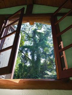 Félix Ocean View - 1