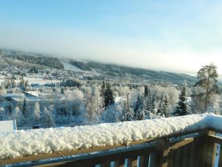 Trysil turistesenter hytte - 2