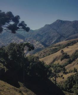 Vale das Araucárias - Tijolinho Chalet - with Ofurô - 4