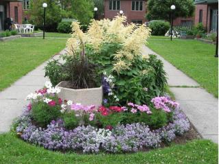Stunning & Serene Downtown Apartment - 9