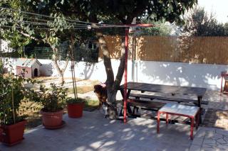 Apartments with parking space Medulin - 7295 - 4