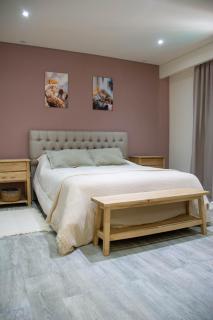 Amonites Apart Arrecifes - 4