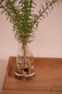 7月リフォームオープン!ナカマコンド恩納小学生まで添い寝無料 - 8