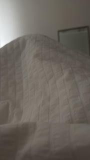 Delmar Loop 2-Bedroom Retreat - 2