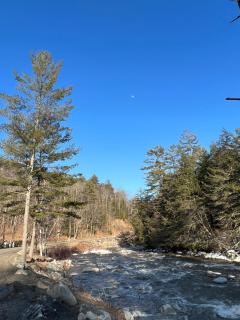 Rustic Cabin in between MountSnow & Stratton - 8