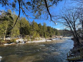 Rustic Cabin in between MountSnow & Stratton - 1