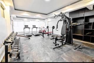 Golden Mango Height - 6