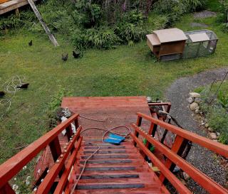 The Abel Tasman Treehouse - 1