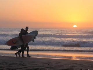 Vieux-Boucau: T2 4 personnes avec terrasse et vue lac - FR-1-857-29 - 1