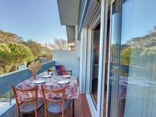 T3 proche plage avec terrasse et Wi-Fi pour 4 personnes - FR-1-857-36 - 0