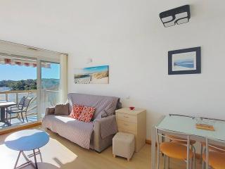 T2 4 pers - Terrasse et animaux admis - FR-1-857-43 - 9