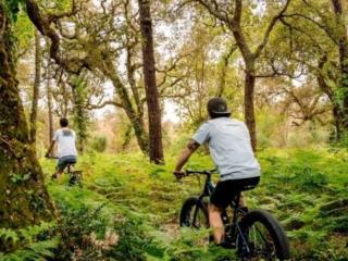 Appartement T2 avec piscine, parking - Vieux-Boucau - FR-1-857-41 - 2