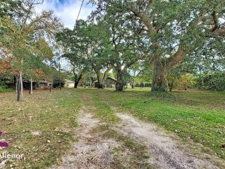 Villa à Messanges – 2 chambres – Cadre forestier - FR-1-857-44 - 2