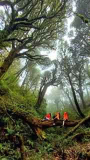 Homestay Quyền Linh-Tour Tây Côn Lĩnh - 9