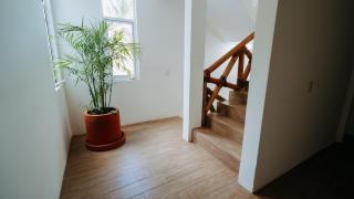 Aguamiel La Punta - 8