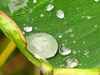 Granja Agua Azul, Wi-FI,AC-WC,Parking,la Fortuna - 8