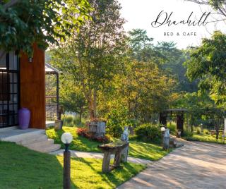 Dhanhill Bed&Cafe - 1